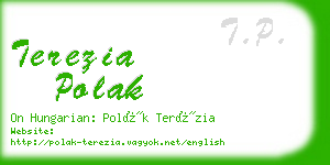 terezia polak business card